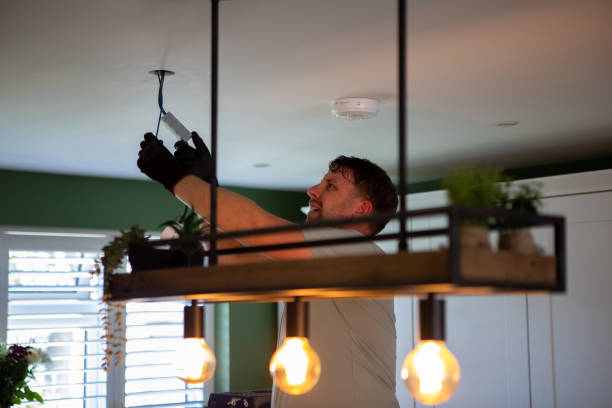 Best Electric Panel Repair  in Camden, TN
